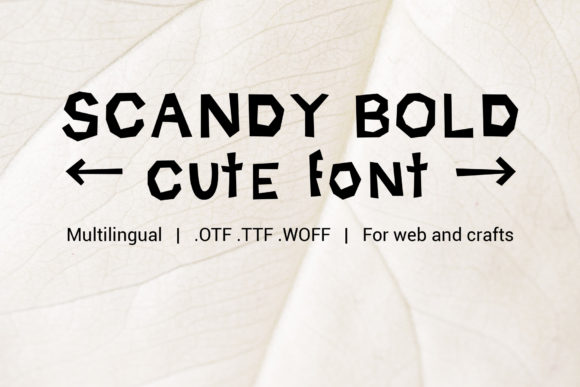 How Scandy Bold Transformed My Brand's Visual Identity