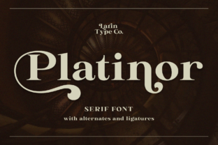 Platinor: A Serif Font for Elegant Craft Projects